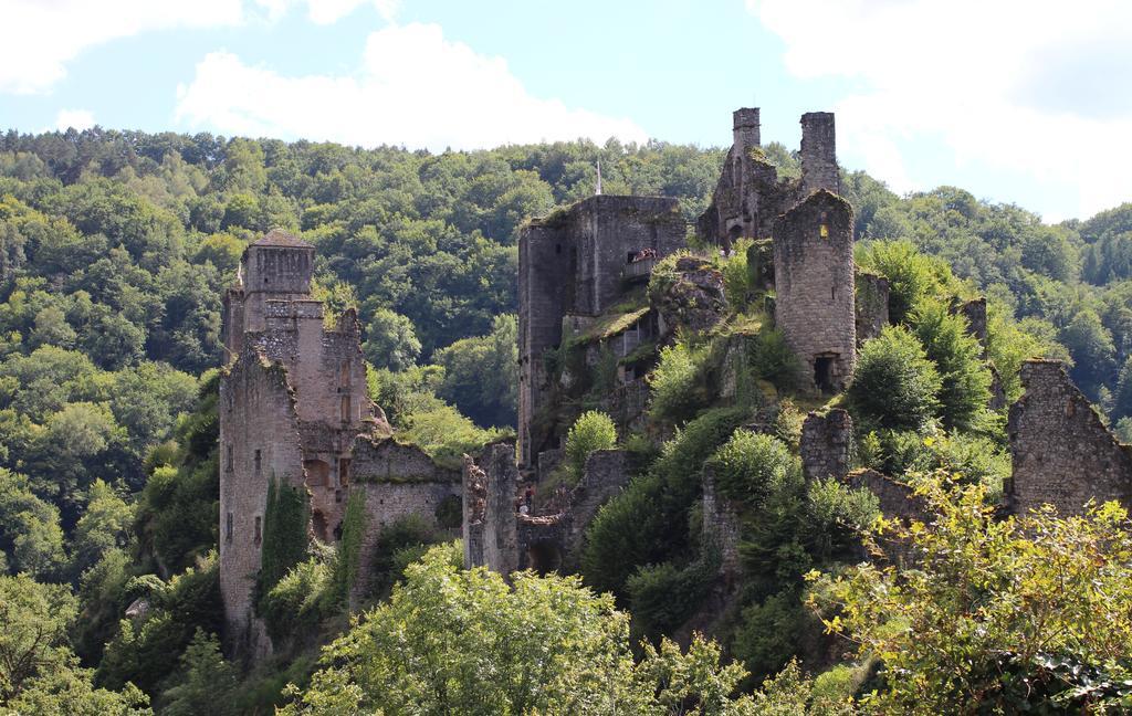 Gite De La Genevriere Saint-Chamant Eksteriør billede